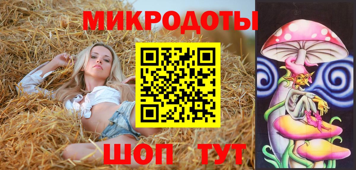 Псилоцибиновые грибы прущие грибы Юрга